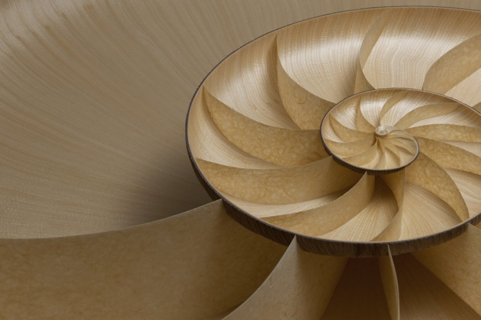 Nautilus II Coffee Table by Marc Fish