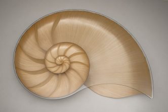 Nautilus II Coffee Table by Marc Fish