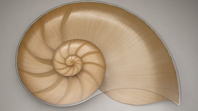Nautilus II Coffee Table by Marc Fish