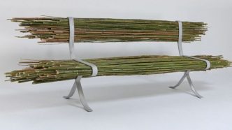 Bamboo Bench by Gal Ben-Arav