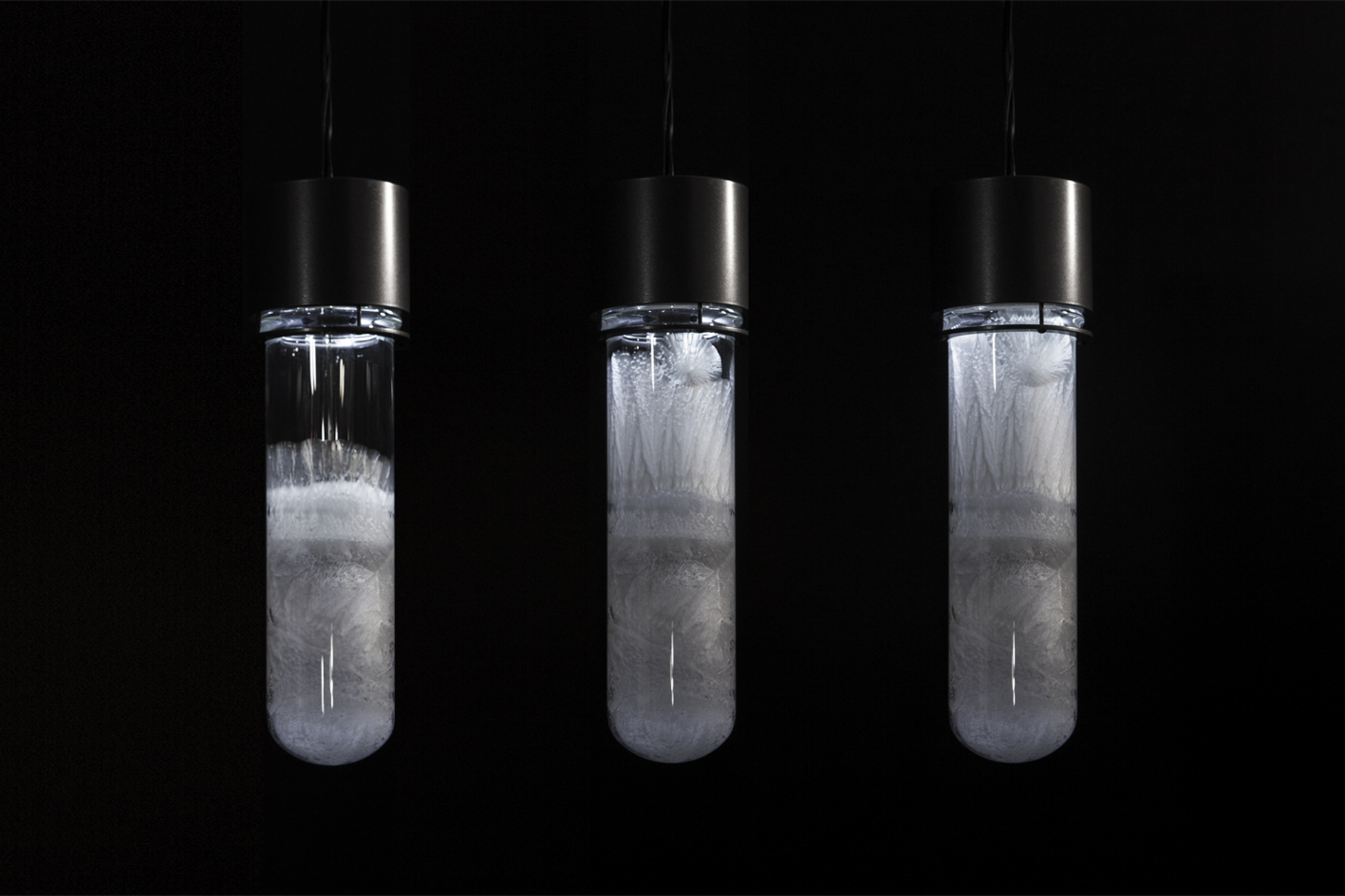 Winter Tide Lights by Lula Dot