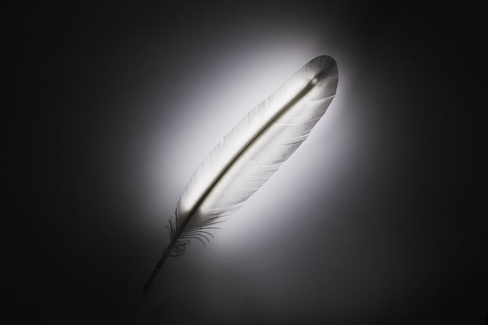 Plüne Applique Wall Lamp by .exnovo