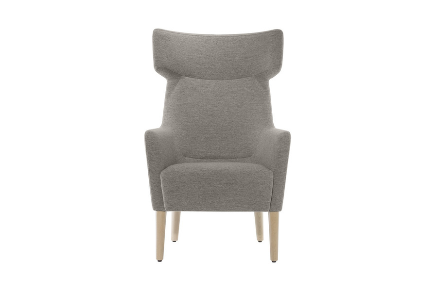 Wellano Care Armchair by Brunner