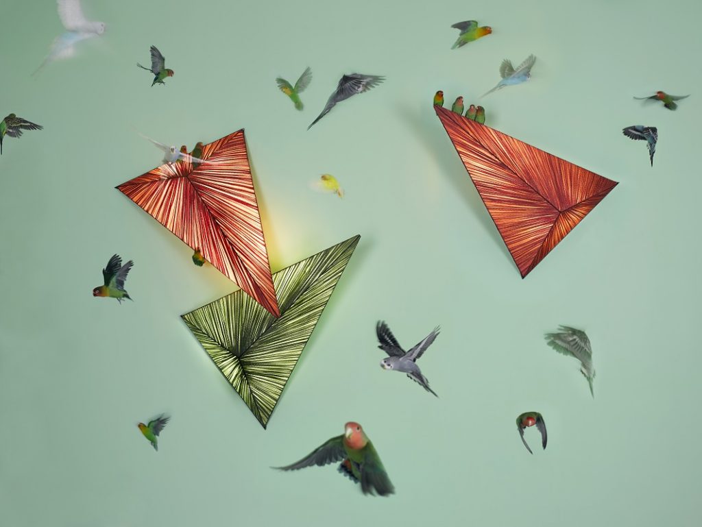 Zooid Wall Lamps by Aqua Creations