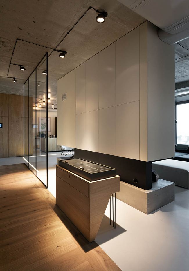 NPL. Penthouse in Kiev, Ukraine by Olga Akulova
