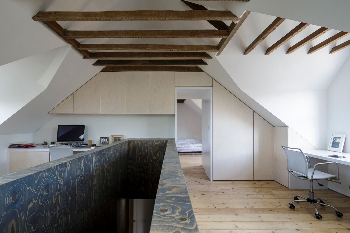 Semi Detached Residence in Oxford, UK by Delvendahl Martin Architects