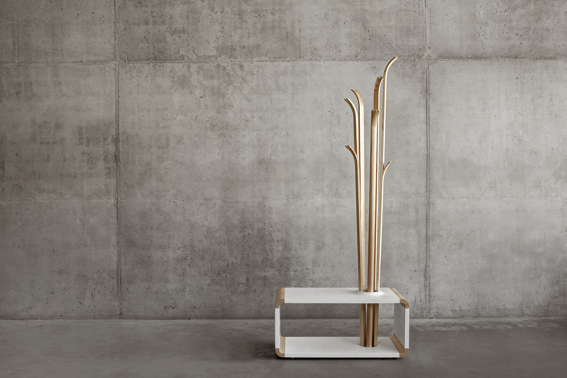 Tilia Coat Hanger by Alicja Prussakowska