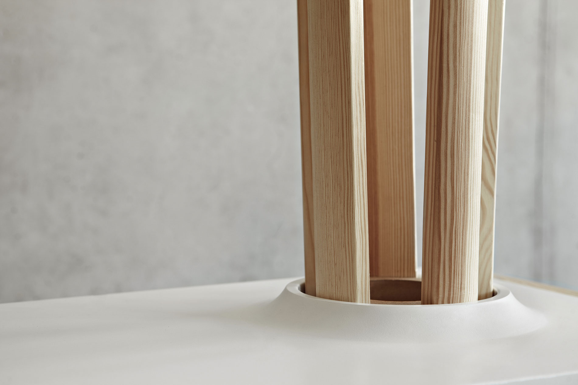 Tilia Coat Hanger by Alicja Prussakowska