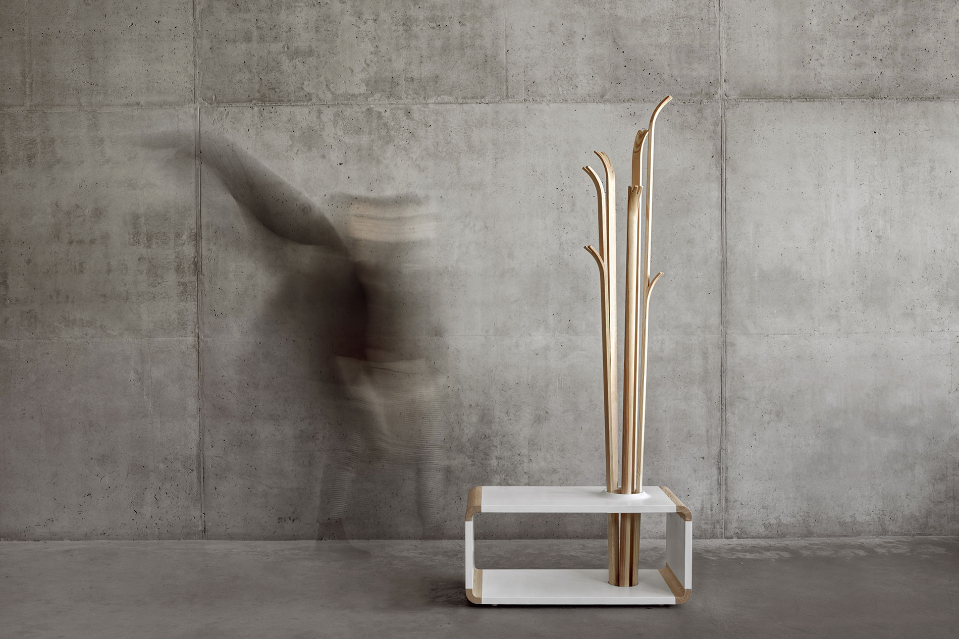 Tilia Coat Hanger by Alicja Prussakowska