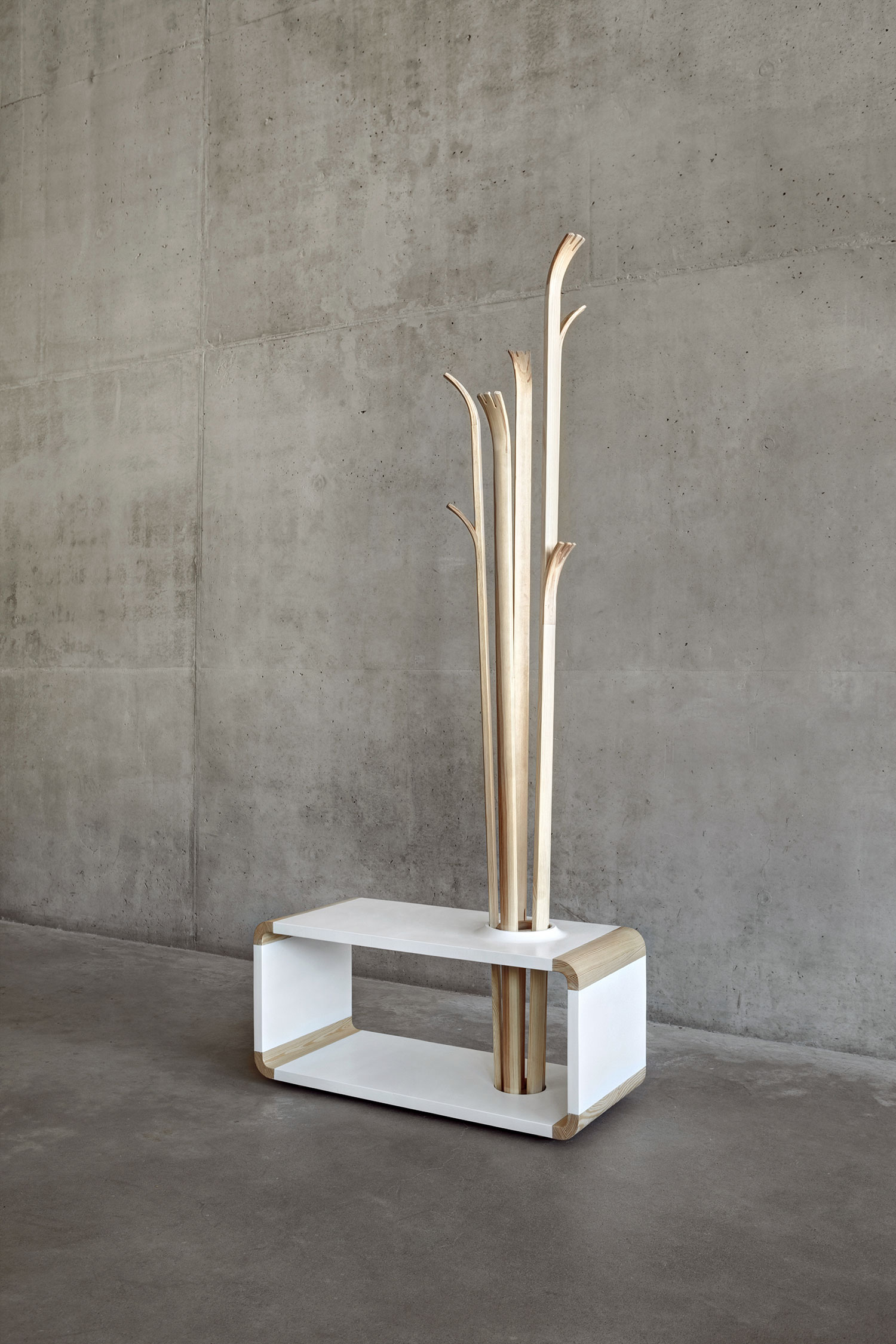 Tilia Coat Hanger by Alicja Prussakowska