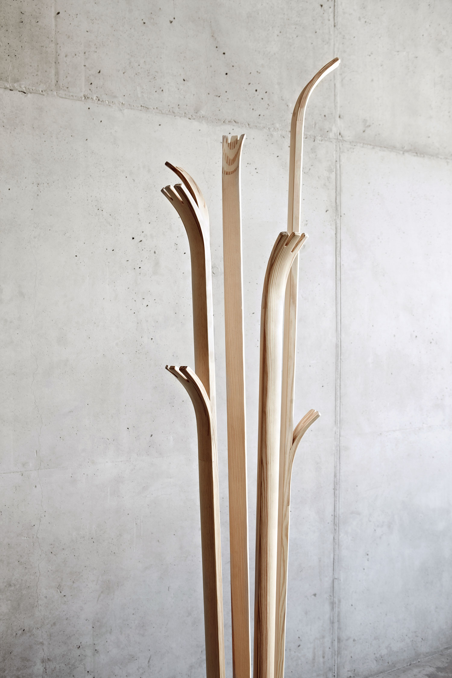 Tilia Coat Hanger by Alicja Prussakowska
