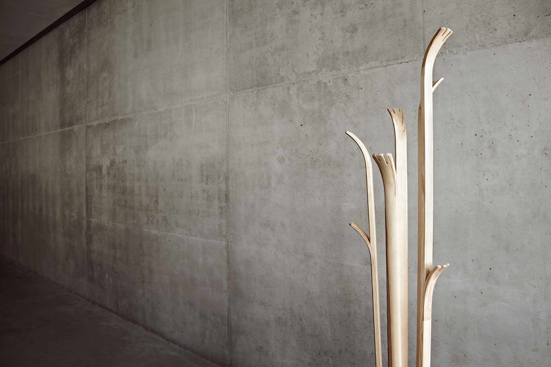 Tilia Coat Hanger by Alicja Prussakowska
