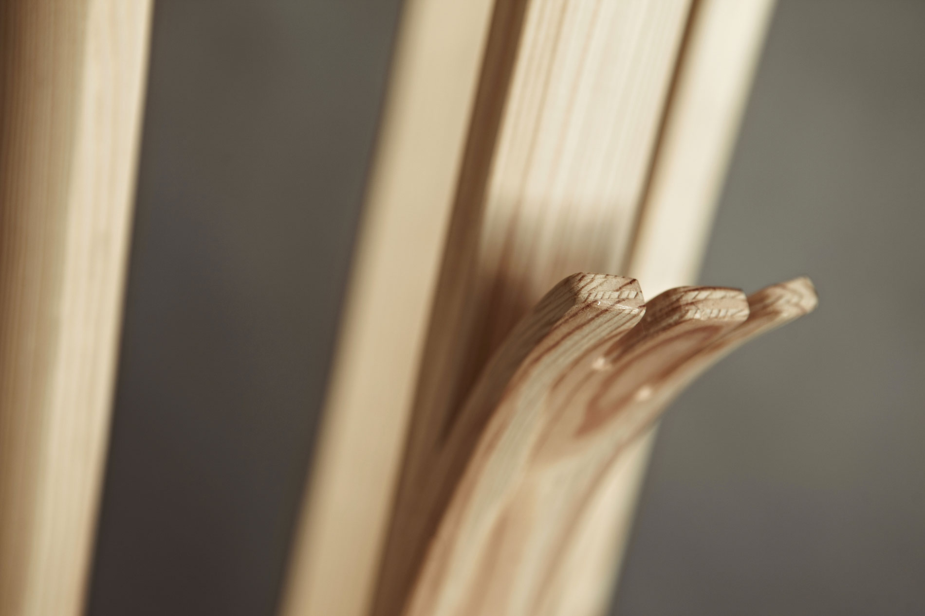 Tilia Coat Hanger by Alicja Prussakowska