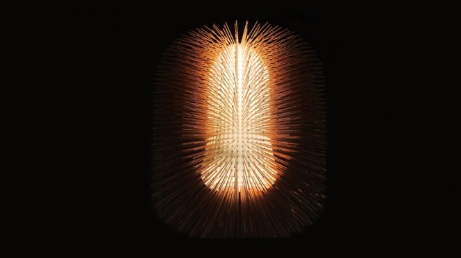 Porcupine Lamp by Ilkka Suppanen