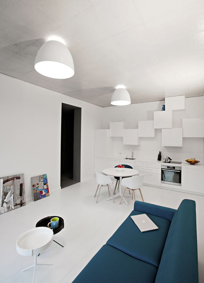 BW Apartment in Vilnius, Lithuania by YCL Styudio