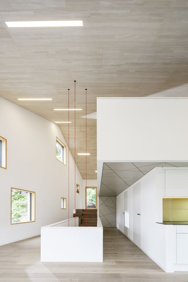 Cloud Cuckoo House in Münstertal, Black Forest, Germany by UberRaum Architects