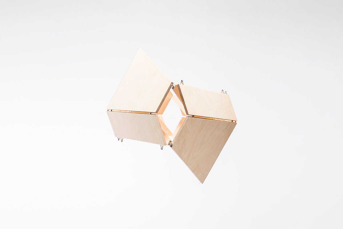 Eagle Pendant Lamp by Gaël Wuithier for Woodlabo