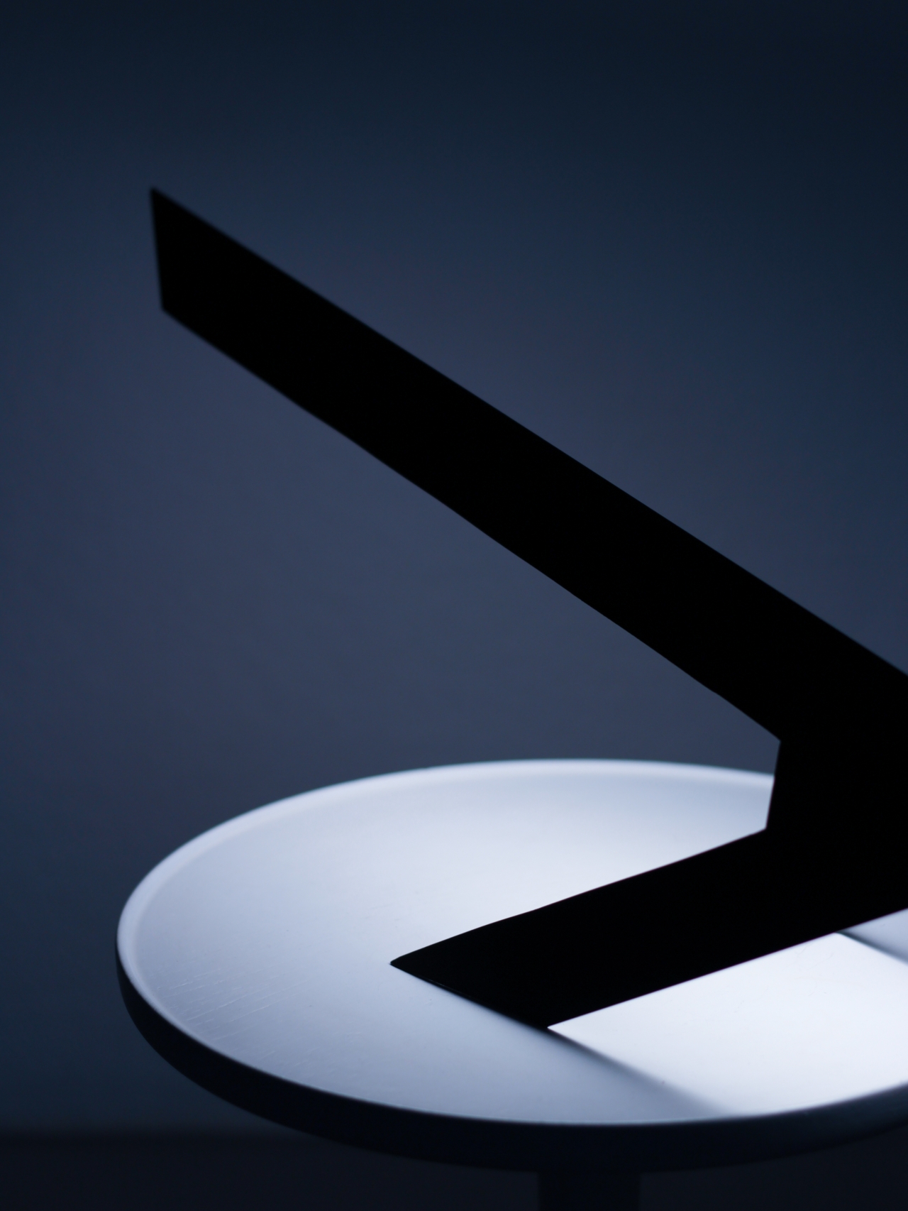 Blackbird Lamp by Hayo Gebauer