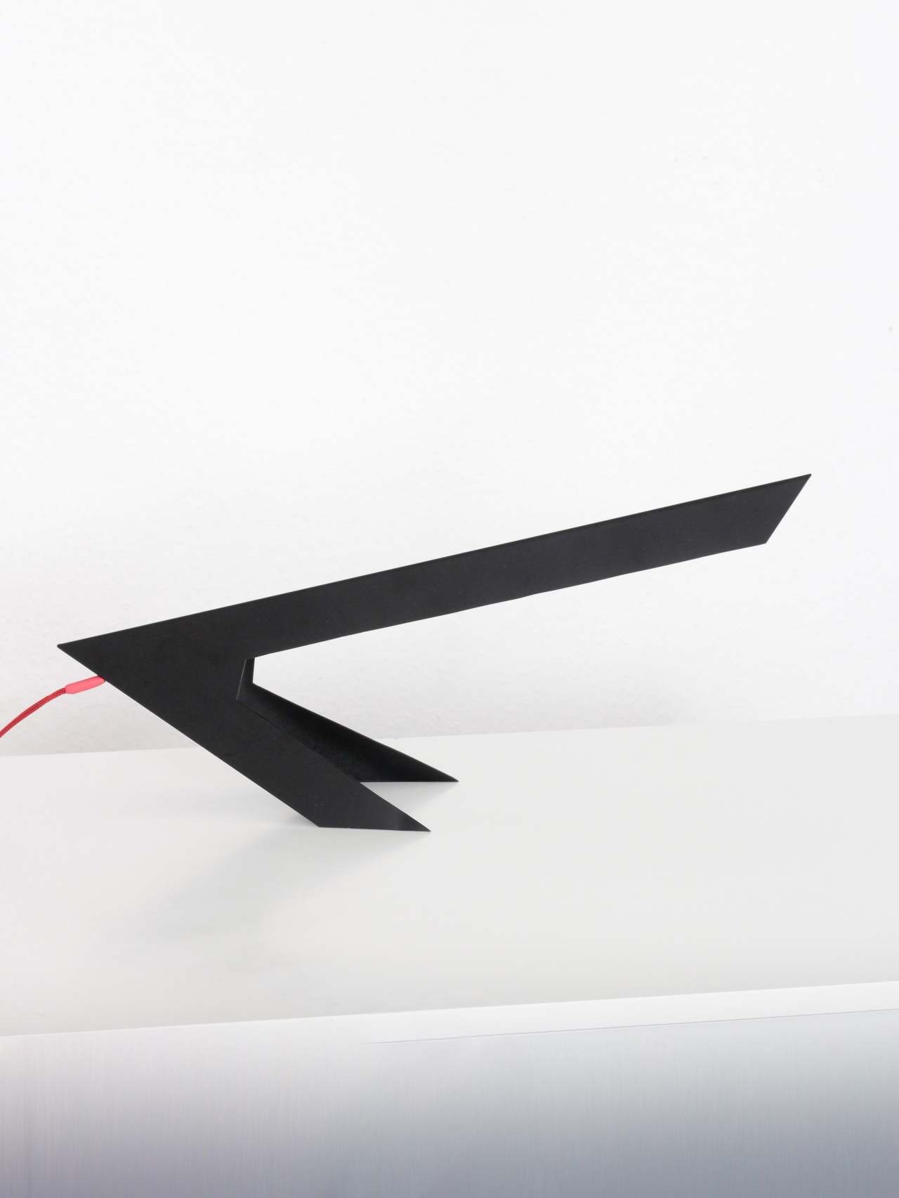 Blackbird Lamp by Hayo Gebauer