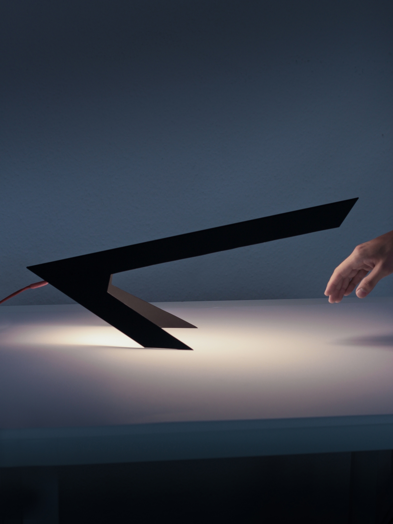 Blackbird Lamp by Hayo Gebauer