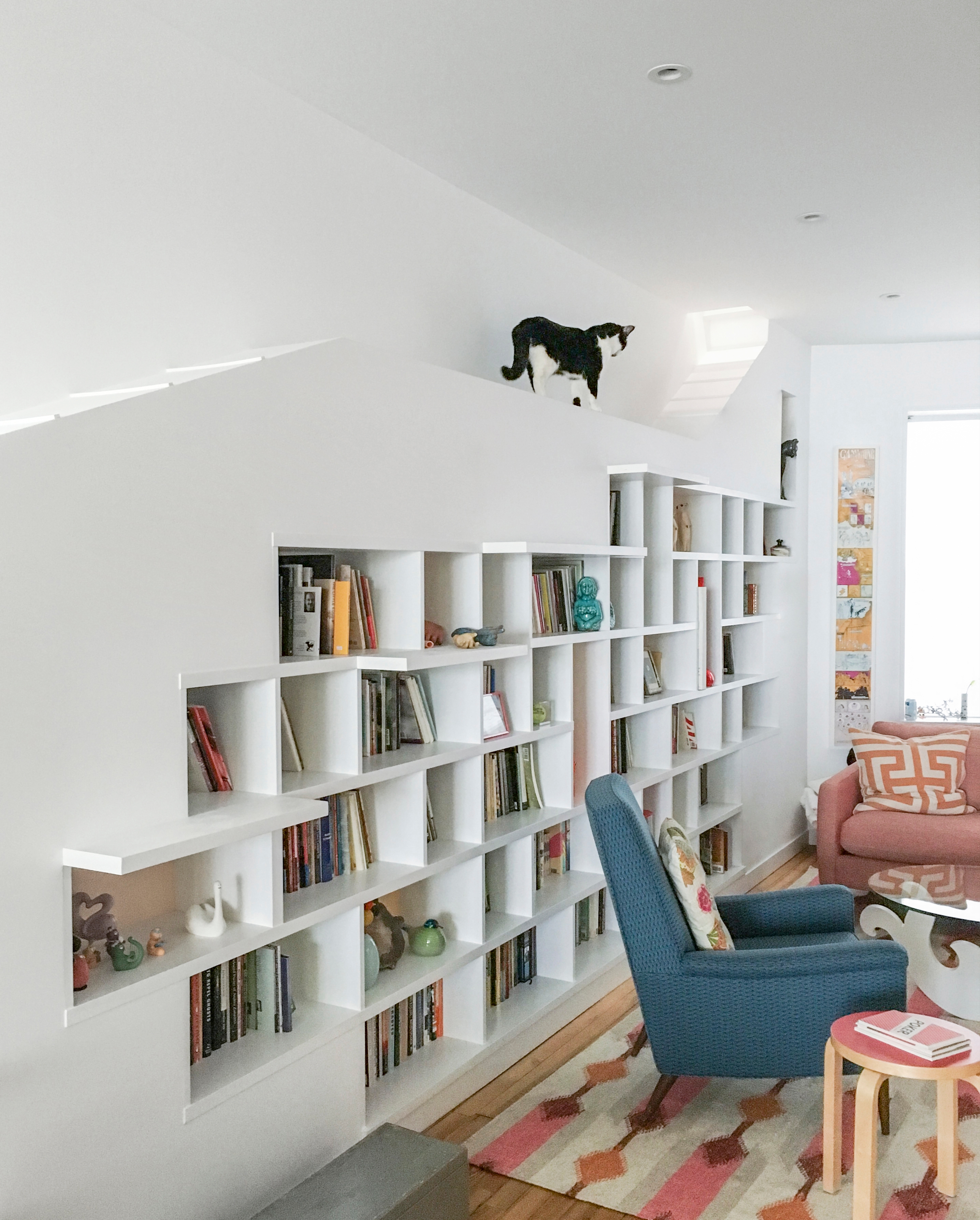House for Booklovers & Cats in Brooklyn, New York by BFDO Architects