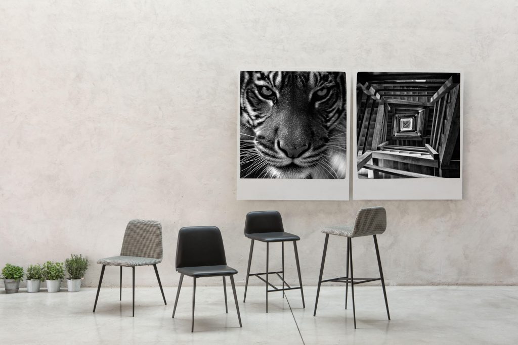 Bardot Chairs by Trabà