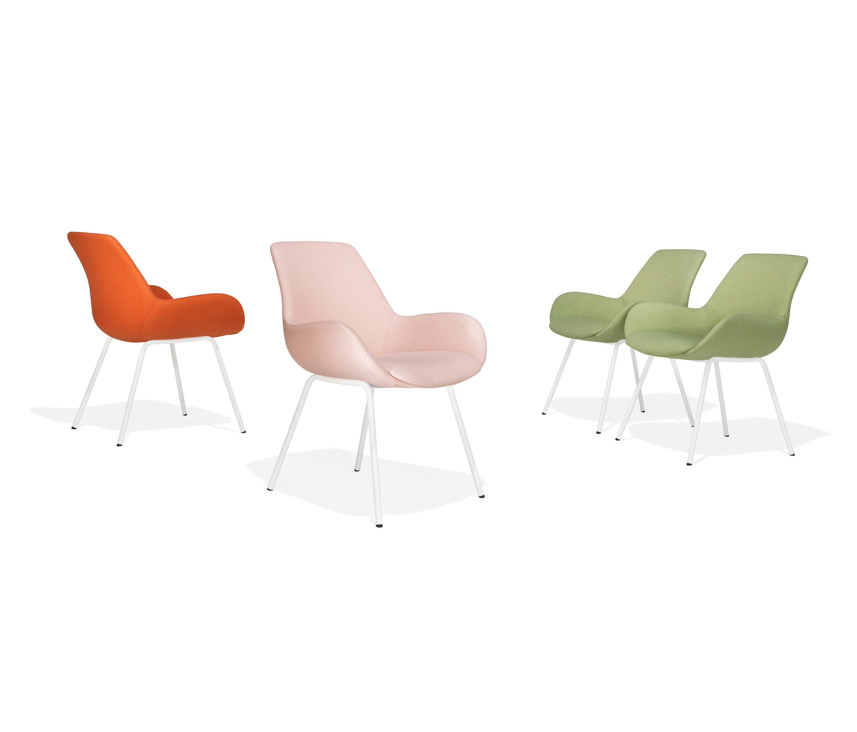 Lupino Chairs Collection by Kusch+Co