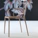 SISSI Chair by Ludovica + Roberto Palomba for Driade