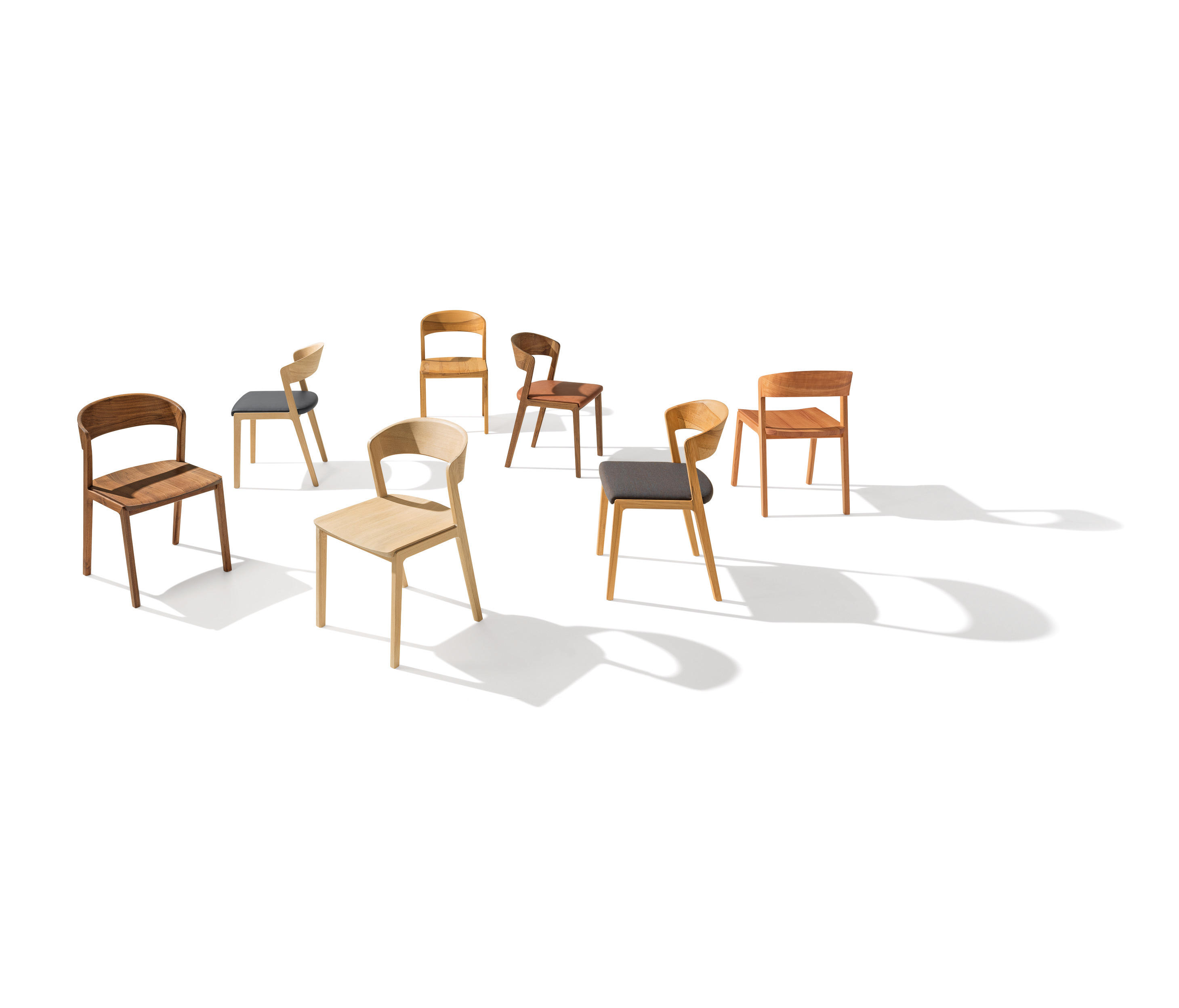 Mylon Chairs by TEAM 7