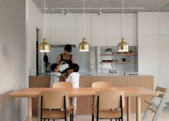House Living in the Gallery in Tokyo, Japan by R.E.A.D. & Architects