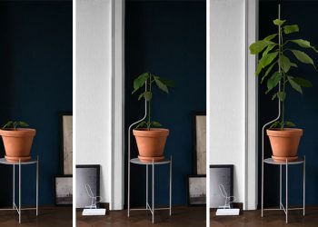 Plant Stand Designed to Support Plants as They Grow