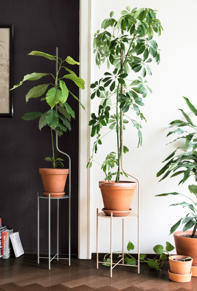 Plant Stand Designed to Support Plants as They Grow