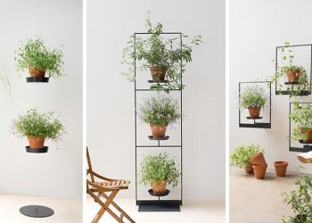 The Teepots Plant Stand Collection by Mauro Canfori