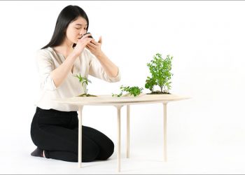 Modern Wood Coffee Table by Studio Wooyoo