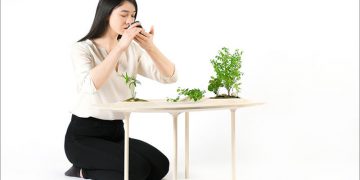 Modern Wood Coffee Table by Studio Wooyoo