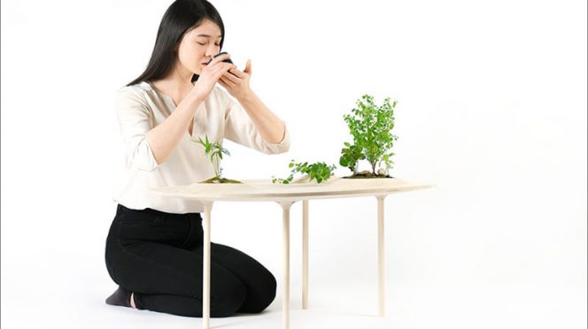 Modern Wood Coffee Table by Studio Wooyoo