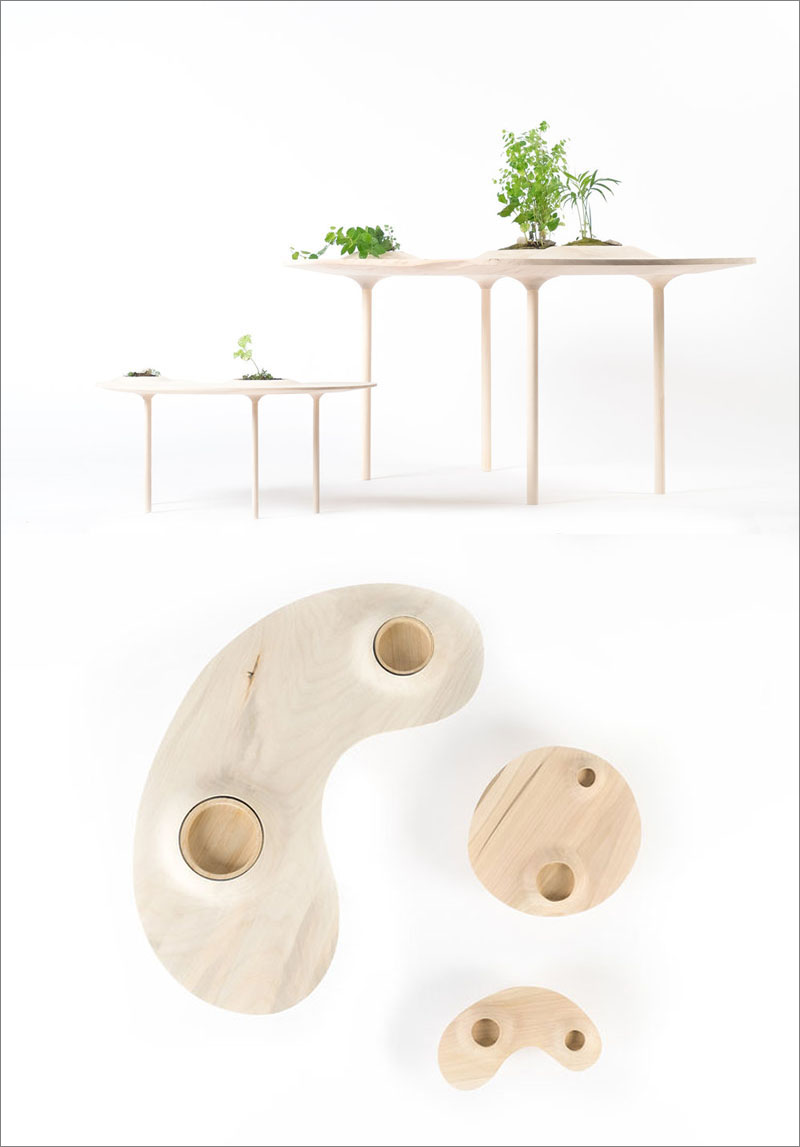 Modern Wood Coffee Table by Studio Wooyoo