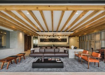 Apartment in Privee by Taller David Dana in Mexico City, Mexico