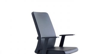 Movado Office Chair by Enea