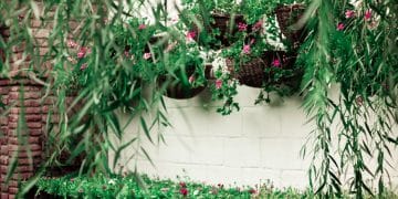 Remodel Your Garden or Yard for You and Your Family