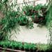 Remodel Your Garden or Yard for You and Your Family