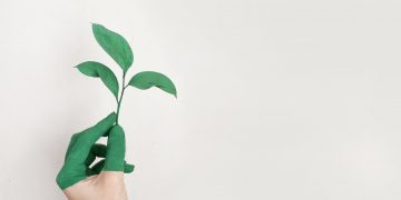 Eco-Friendly Tips For Rejuvenating Your Home
