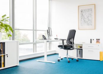 Creating the Ideal Office for Your Small Business