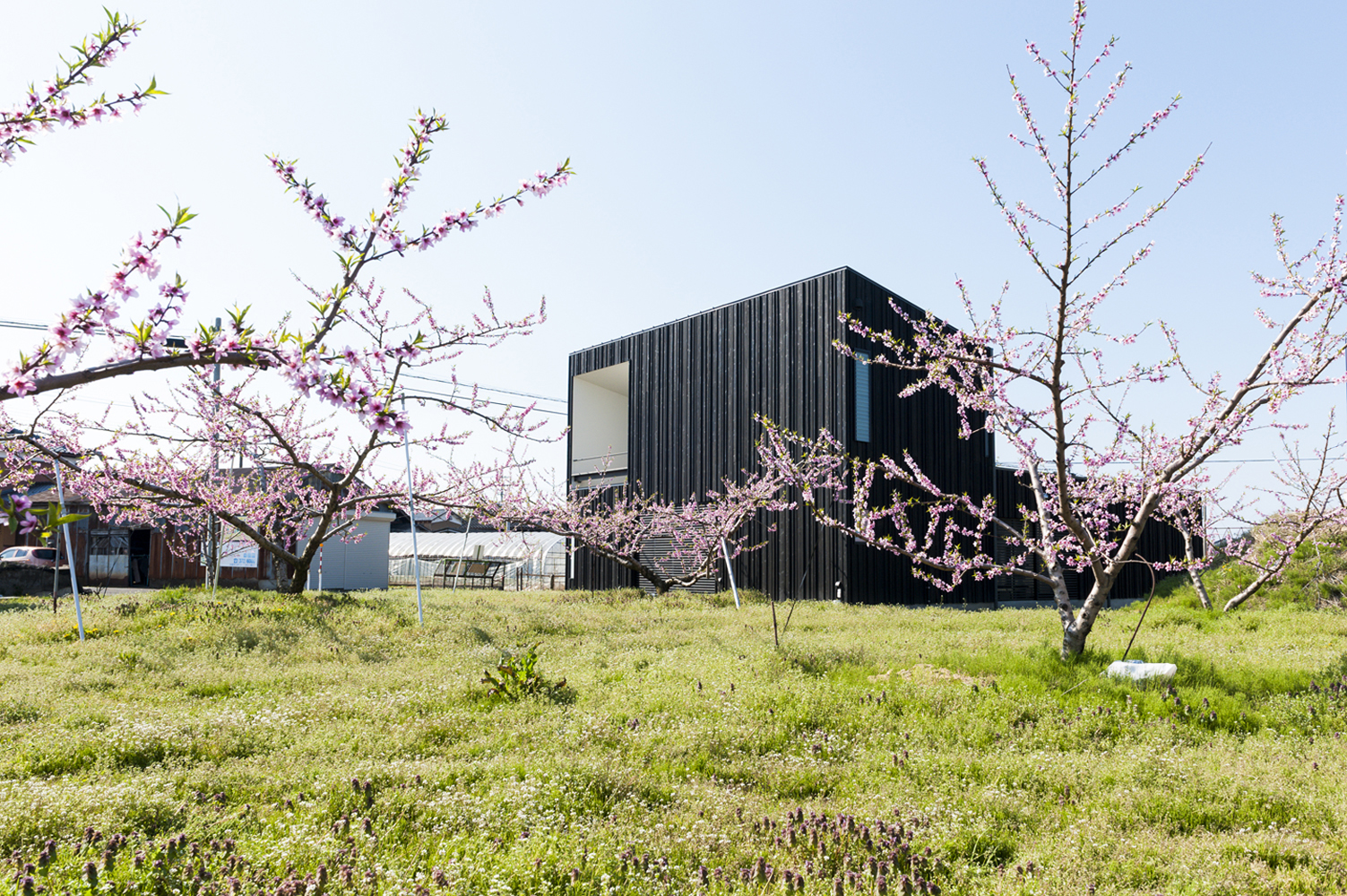 Courtyard House in Peach Garden in Niigata by Takeru Shoji Architects