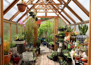How To Design A Conservatory Greenhouse
