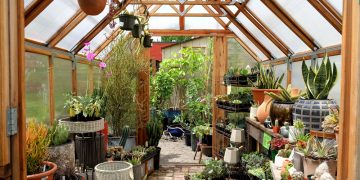 How To Design A Conservatory Greenhouse