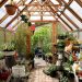 How To Design A Conservatory Greenhouse