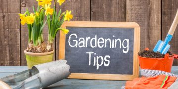 6 Care Tips For A Lush Garden
