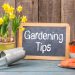 6 Care Tips For A Lush Garden