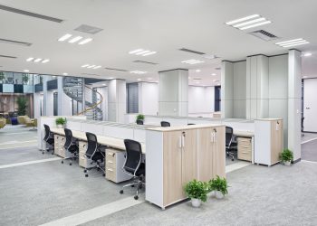 How To Create A Healthy And More Productive Workplace